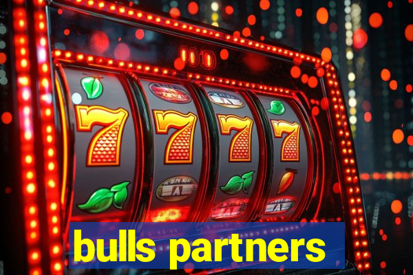 bulls partners